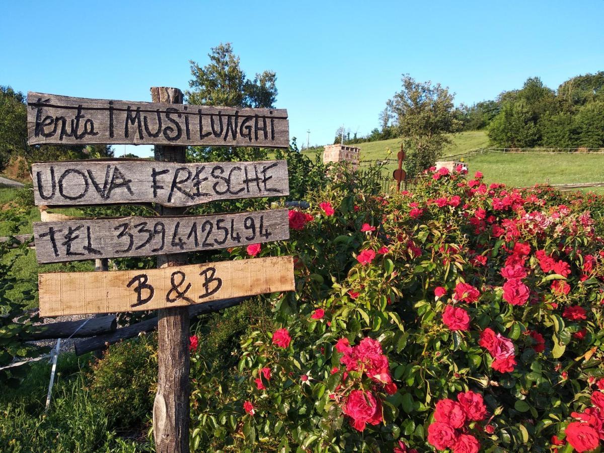 Lesignano de' Bagni Tenuta I Musi Lunghi מראה חיצוני תמונה
